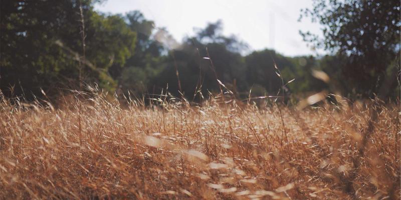 2024年微商爆款货源趋势预测：掌握这3大供应链变革，抢占代理先机