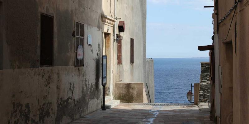 微商健身补剂与器材货源:破解正品授权与专业指导,打造科学健身解决方案