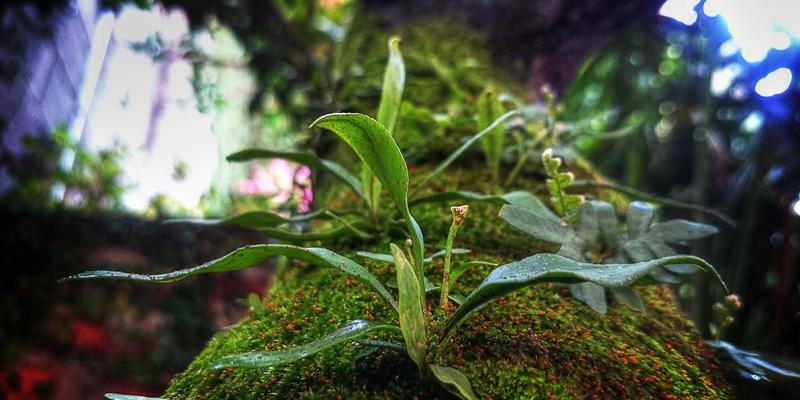 微商情趣用品供应链深度揭秘:破解隐私发货、资质审核与市场教育三大创业生死关