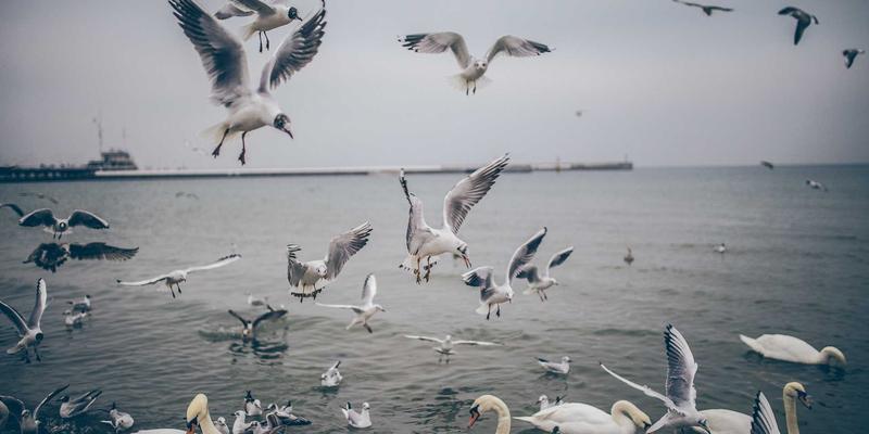 微商教辅与知识付费货源新蓝海:整合版权与课程分销,打造轻资产教育创业模式