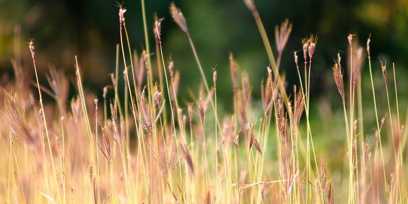 微商服装货源终极对决:广州十三行 vs 杭州四季青,选对让你利润翻倍!