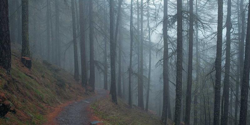 微商茶叶货源掘金指南:从核心产区到品牌故事,打造高利润供应链的三大核心